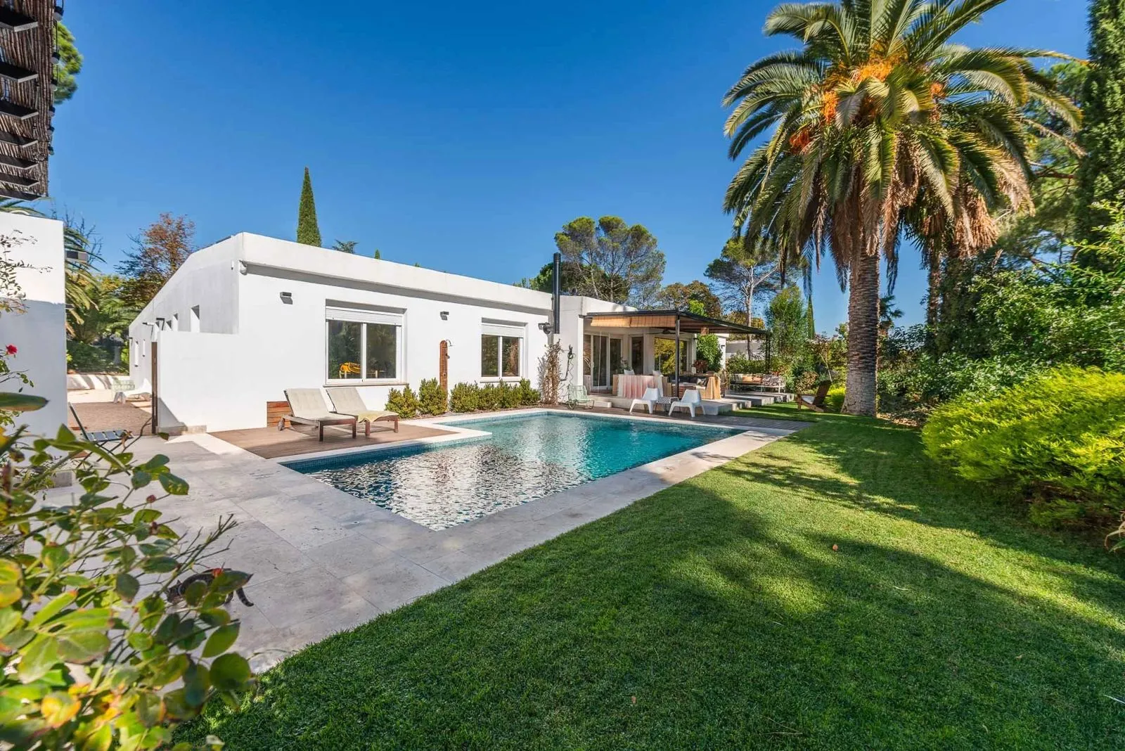 La casa de Somosaguas terminada, vista desde el césped, con la piscina y la palmera