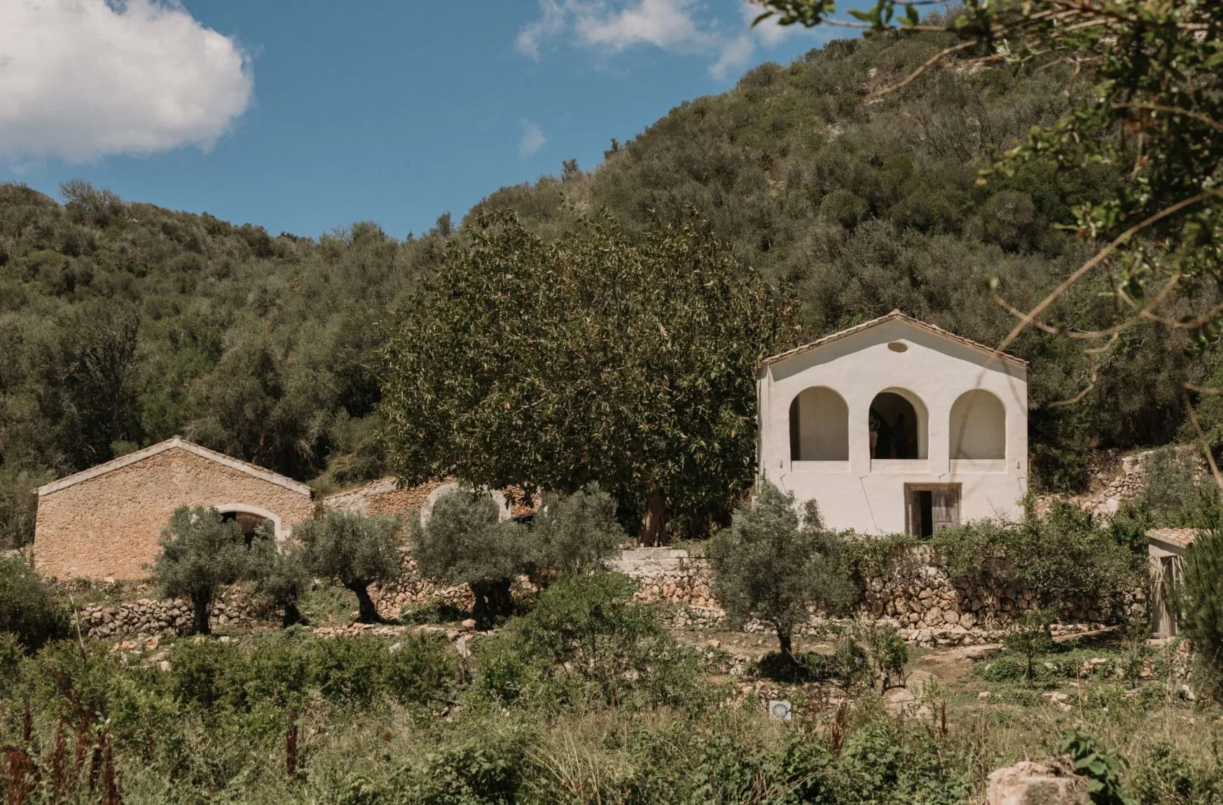 Una casa de campo encalada, con tres arcos en la fachada, entre olivos y muros de piedra seca al pie de un monte verde
